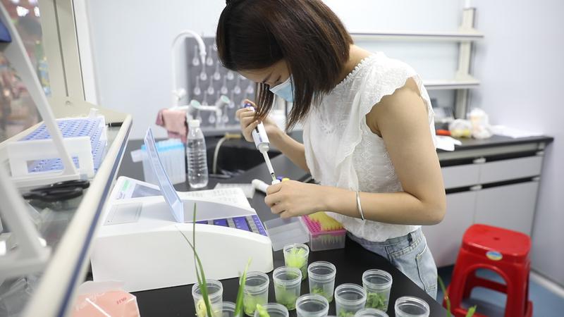 桂城中心市场内设置市场监测室,保障市民的食品安全。佛山日报记者王伟楠摄