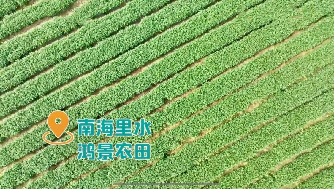 微信图片_20231122162424.jpg