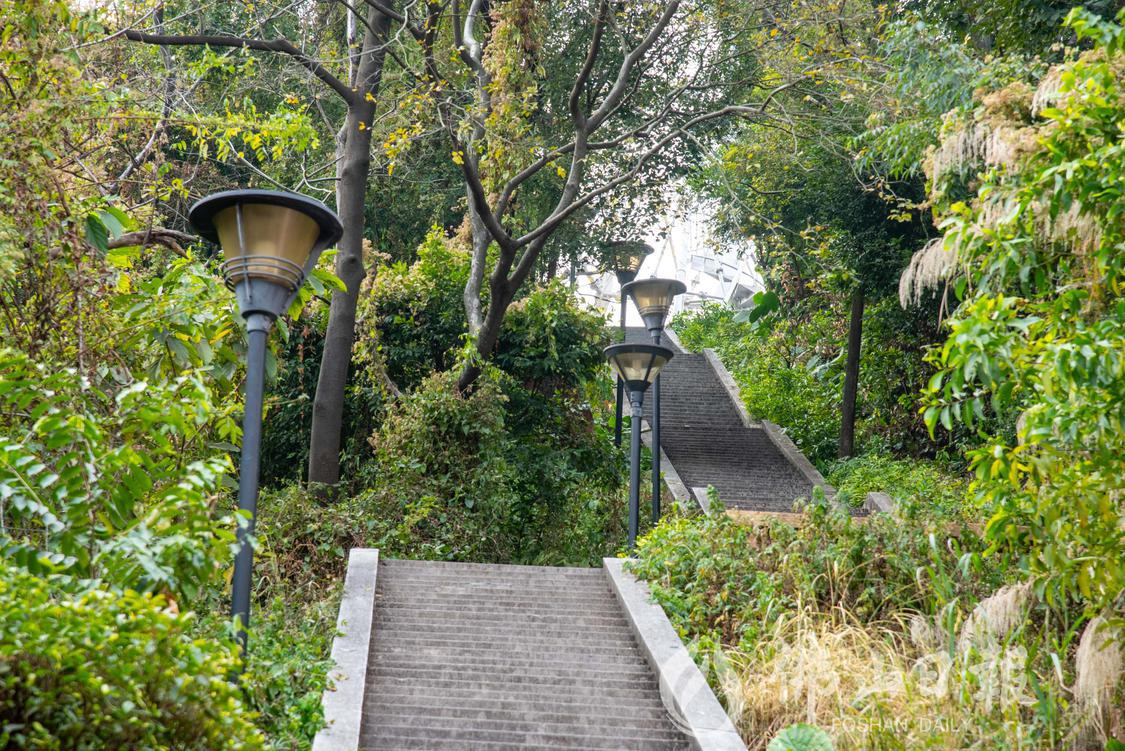 绿树环绕的福临岭环山步道。佛山市新闻传媒(7075791)-20240124184119.jpg