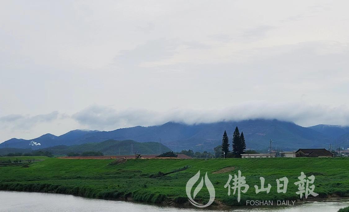 降雨云团从高明掠过,站在鳌围村外的沧江河(4788259)-20230419204448.jpg