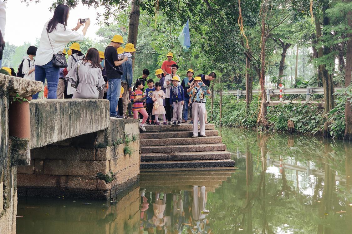 行走顺德1.jpg