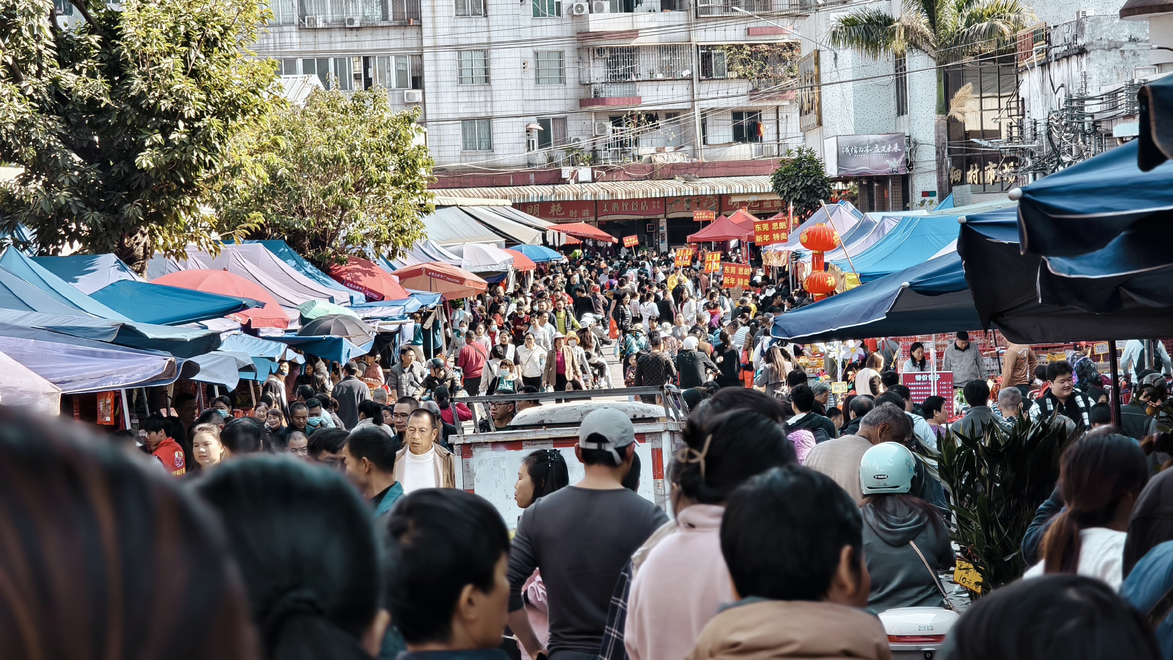 新春走基层|东莞“顶流年味”在哪?在那人从众的细村市场……