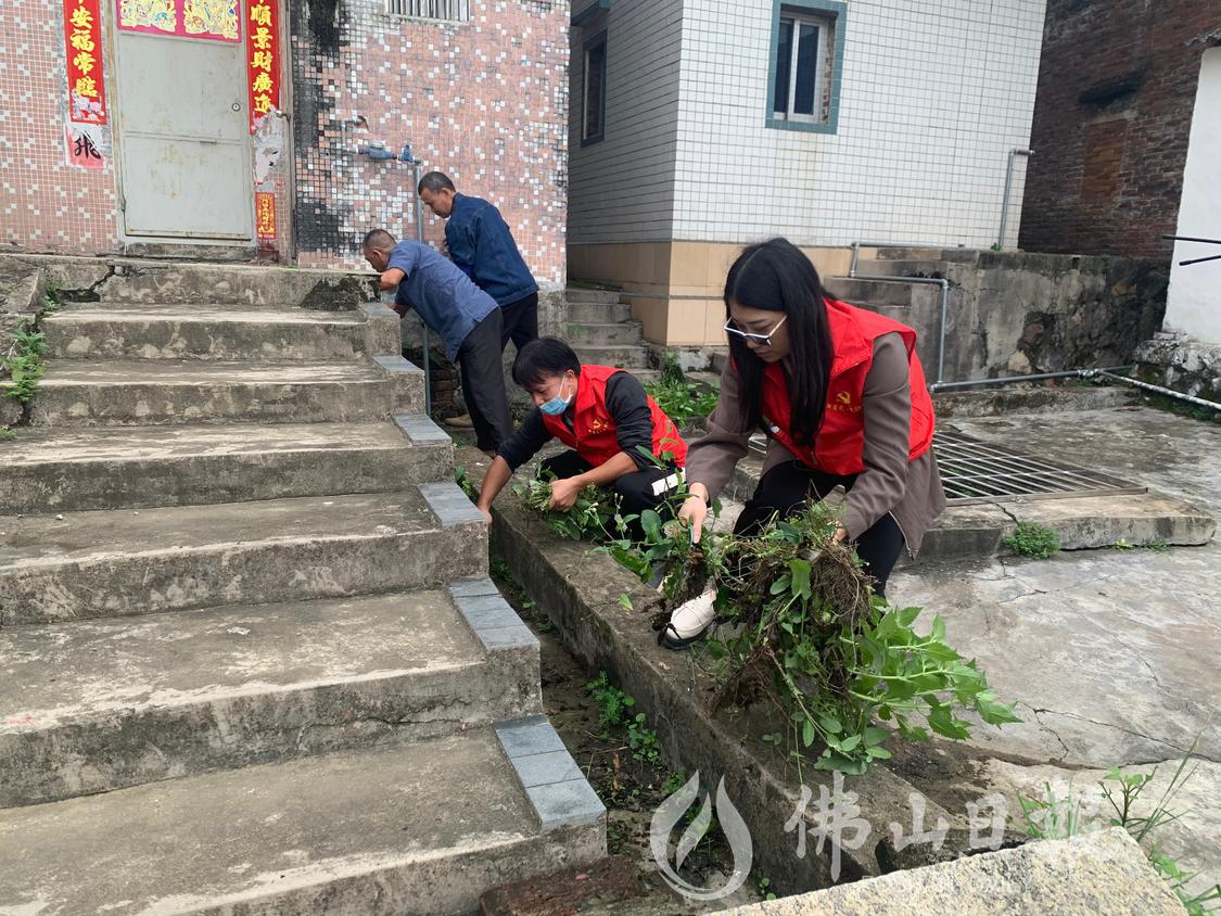 步洲村内，志愿者与村民清理巷间杂草。（佛(4882686)-20230428221803.jpg