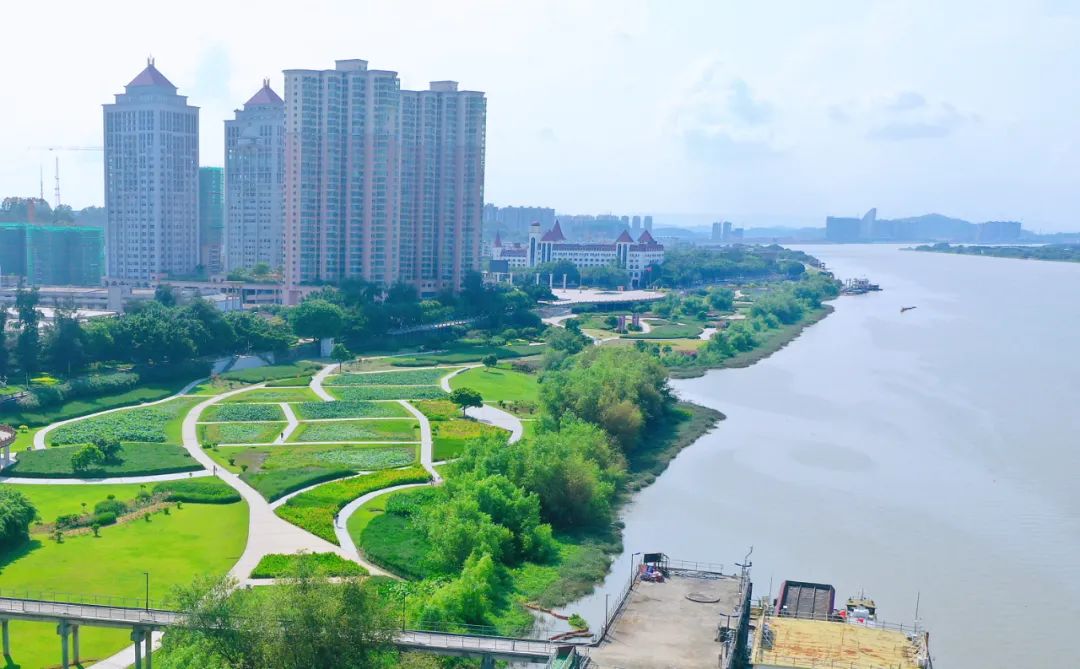 8 西江碧道海滨公园段.jpg