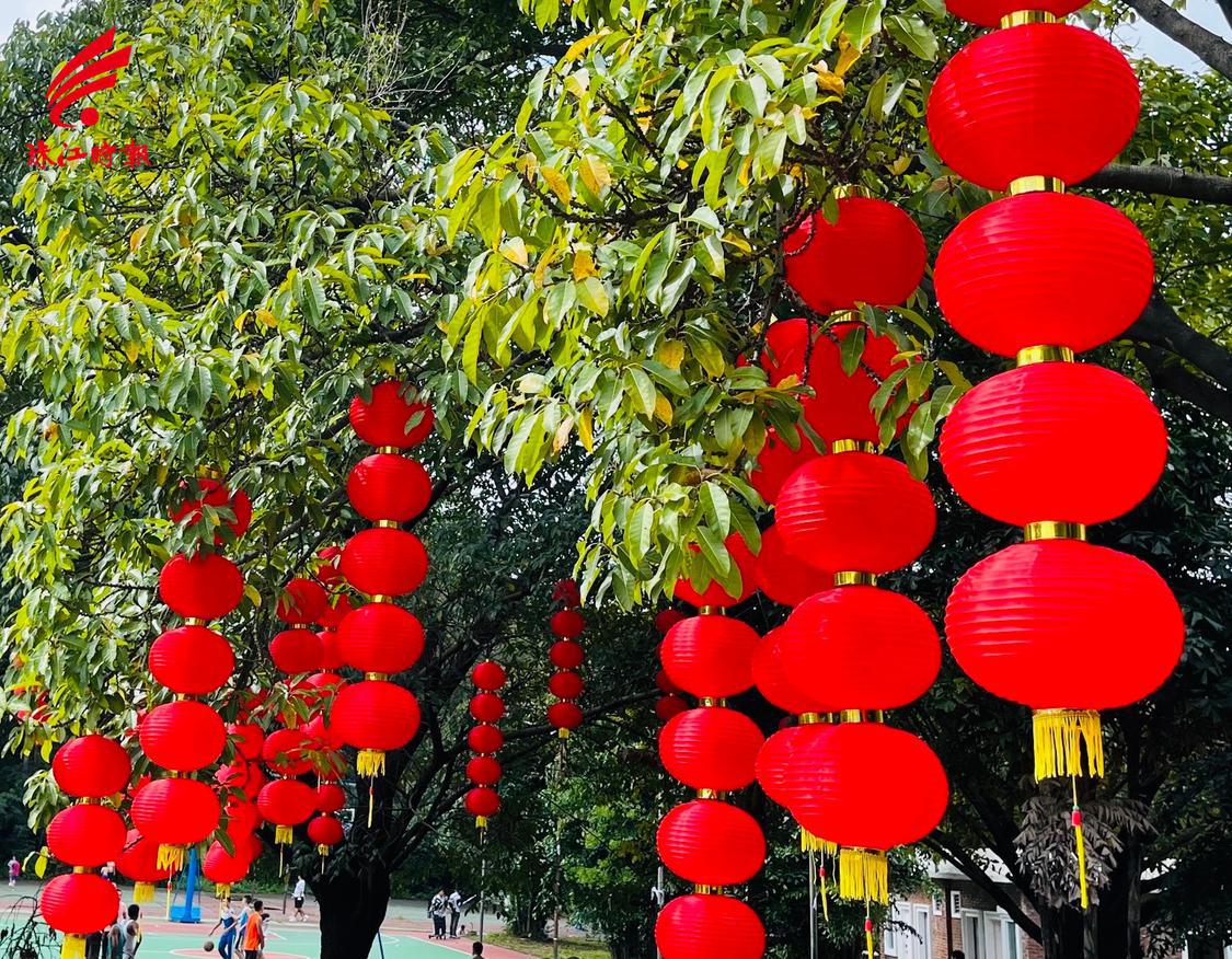 10月1日,南国桃园挂上红灯笼,一片喜气洋洋的景象。珠江时报全媒体记者何艳华 摄.jpg