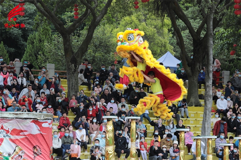 西樵山醒狮表演时间表图片