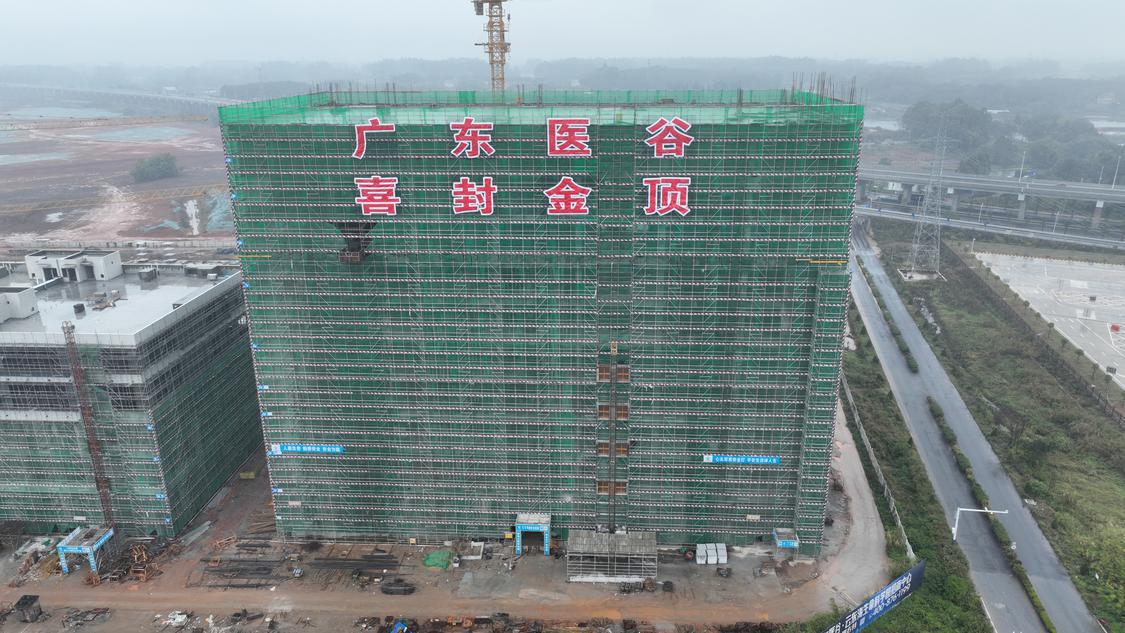 1月12日,在一片热闹喜庆的氛围中,广东医谷·云东海生命科学园项目11号楼顺利封顶。企业供图.jpg