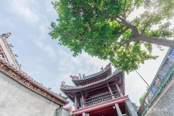 绿意盎然,祖庙内满园春色关不住。/佛山日报记者王伟楠摄