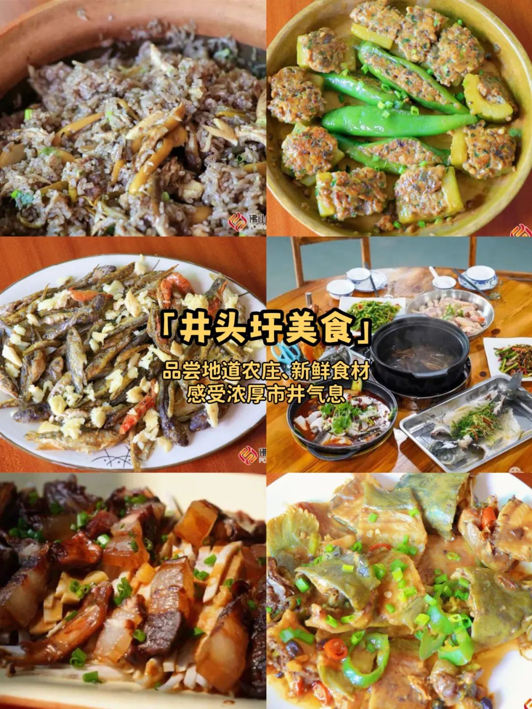 微信图片_20250125194227.jpg