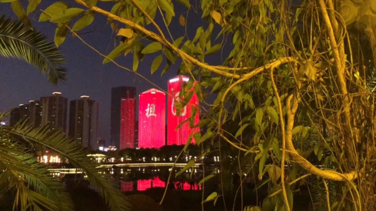 文华公园夜景。视频/佛山日报记者周春制作