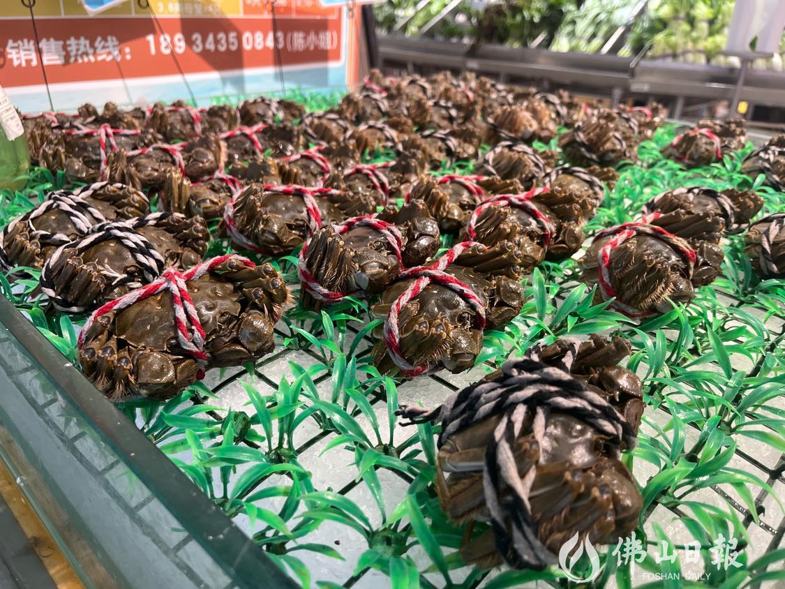 在大润发高明店水产区里,大闸蟹都被摆放在货架上供顾客挑选。佛山日报记者陈嘉懿摄.jpg