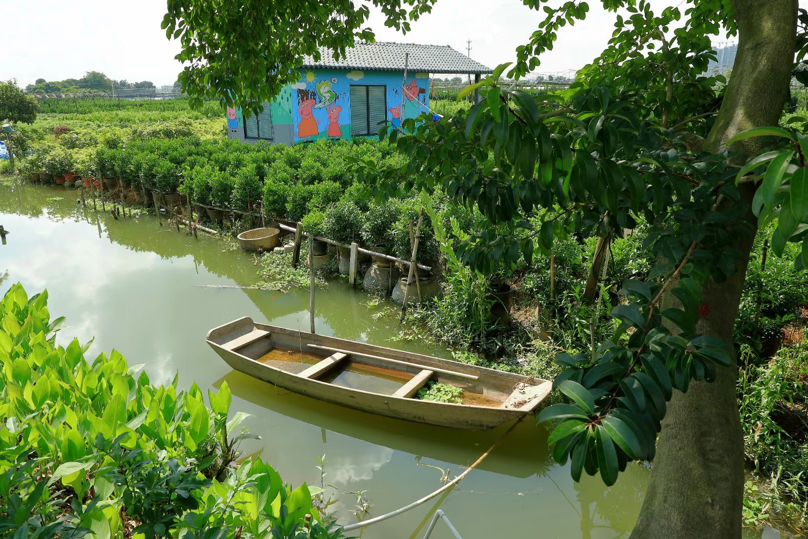 共同推动乡村振兴顺德区农业农村局开展听党话感党恩跟党走宣讲活动