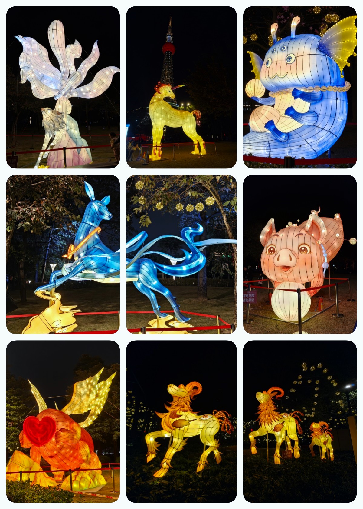 3.文华迎春花市3.jpg