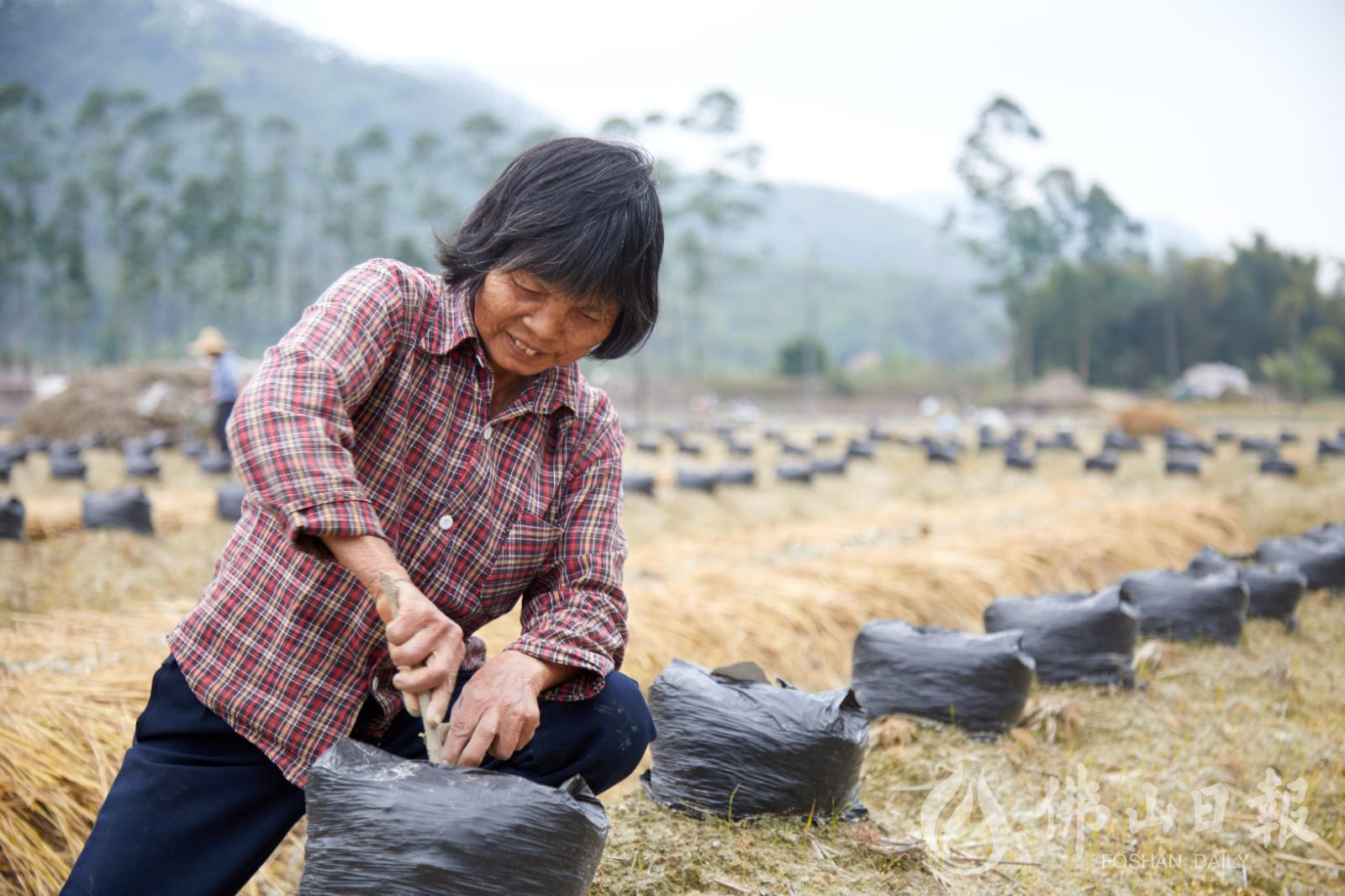 demo.jpg demo.jpg