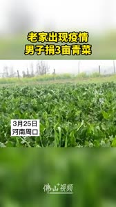 老家出现疫情，男子捐3亩青菜