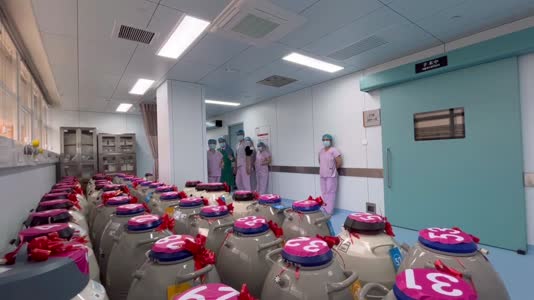 新春走基层丨5万余枚“胚胎宝宝”搬家记