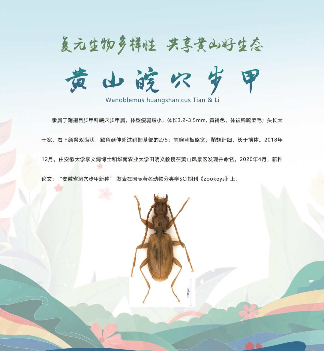 微信图片_20230520185636.jpg?x-oss-process=style/w10