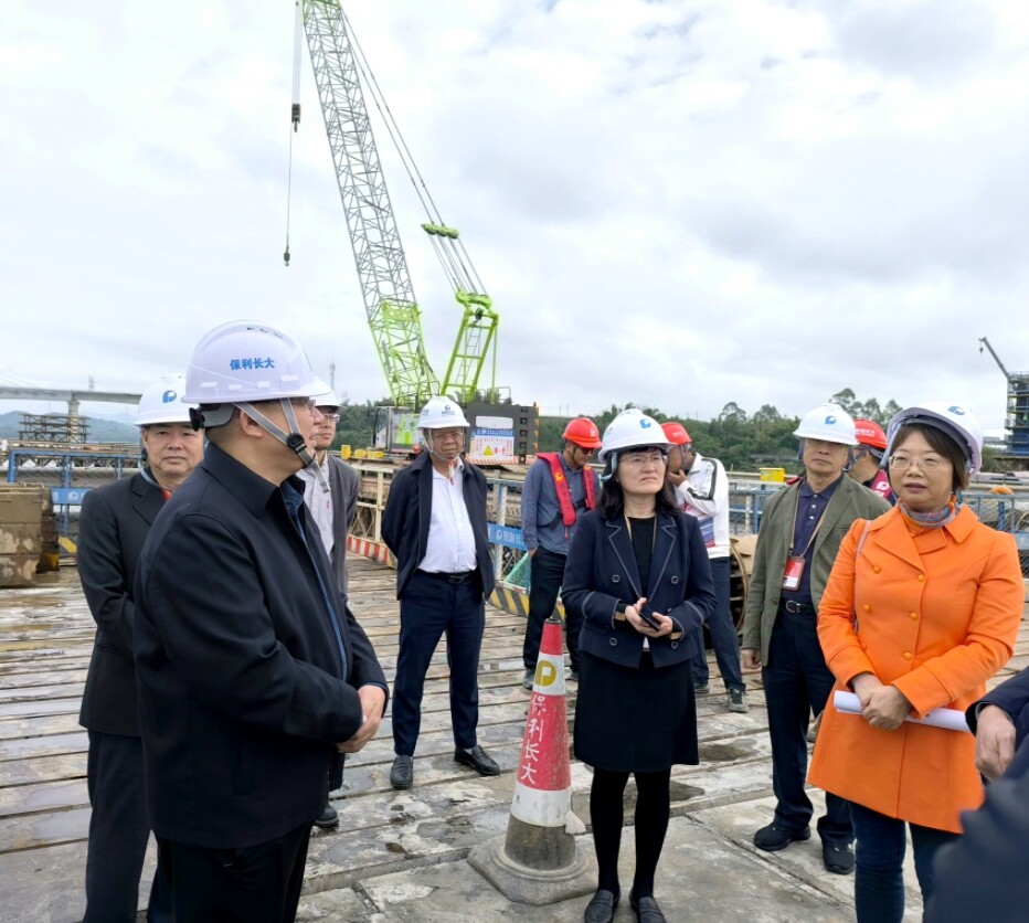 代表们视察惠肇高速东江特大桥施工现场。