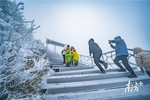 赏雪的游客。