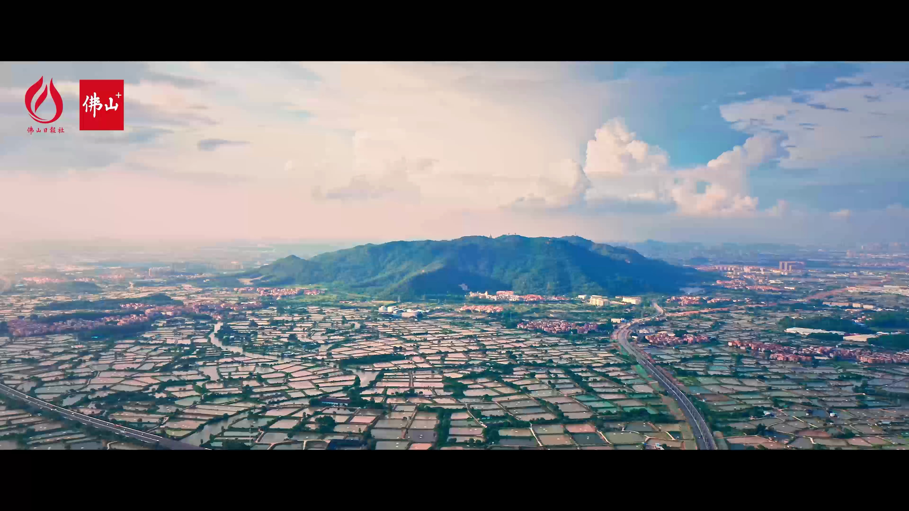 小崔跑佛山|看,桑园围水脉的未来