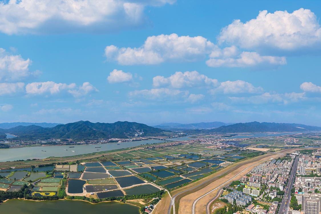 非凡十年·城市三水76丨大塘:双轮驱动,竞逐湾区新赛道