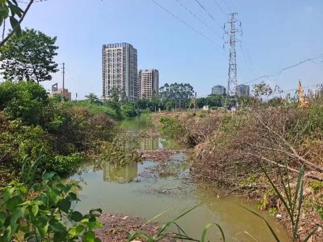 改造前的望岗涌。受访者供图.jpg