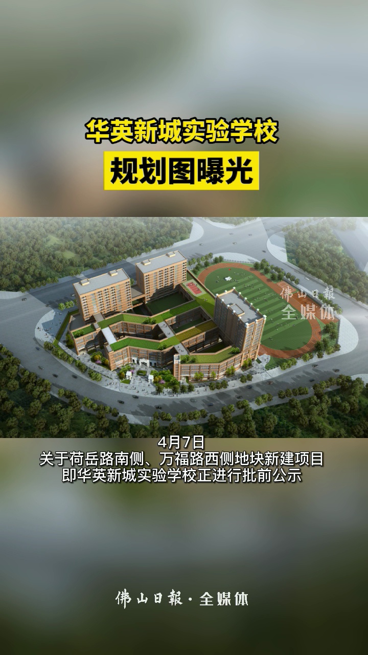 视频/佛山日报记者徐嘉楣制作