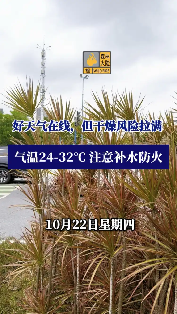 10月22日 好天气在线,但干燥风险拉满
气温24-32°C,注意补水防火