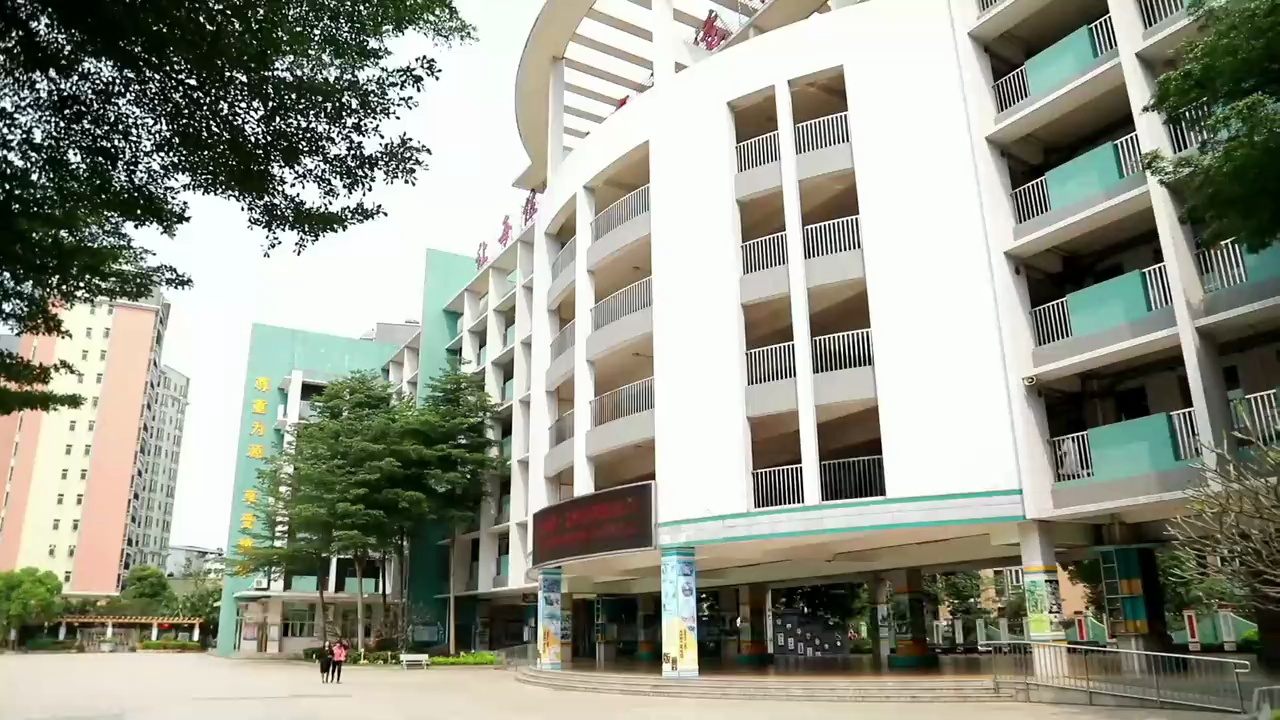 视频/ 佛山日报记者吕润致、张雯静制作