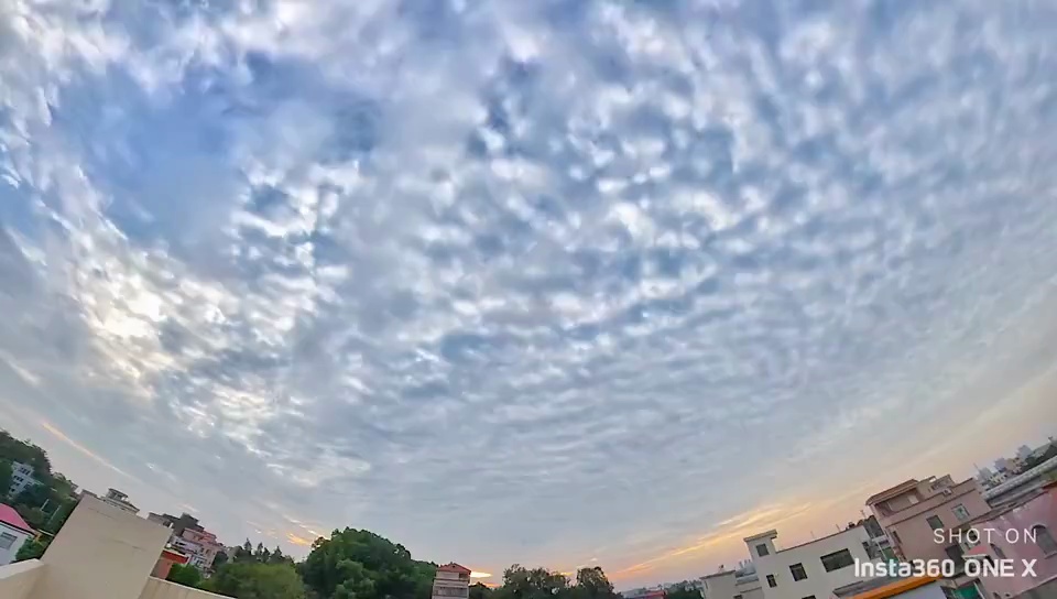 视频/佛山日报摄影俱乐部成员黄国恩 摄