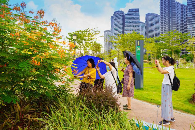 休闲小长假,市民在顺德澄州滨江公园游玩、烧烤、拍照。/佛山日报摄影俱乐部张秀丽摄