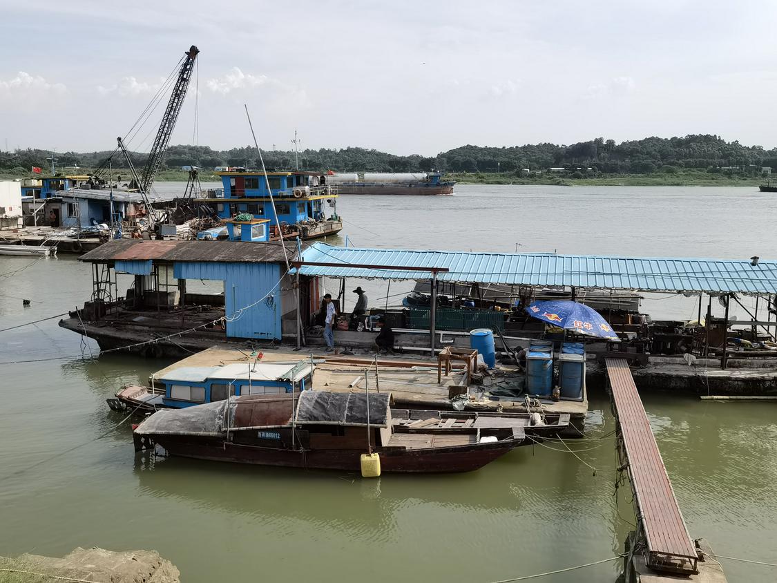 三水区西南街道河口渔船停泊点,不少渔船在台风前已经提前停泊。佛山日报记者郑泽聪摄.jpg