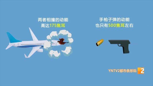 视频截图。图源:YNTV2都市条形码