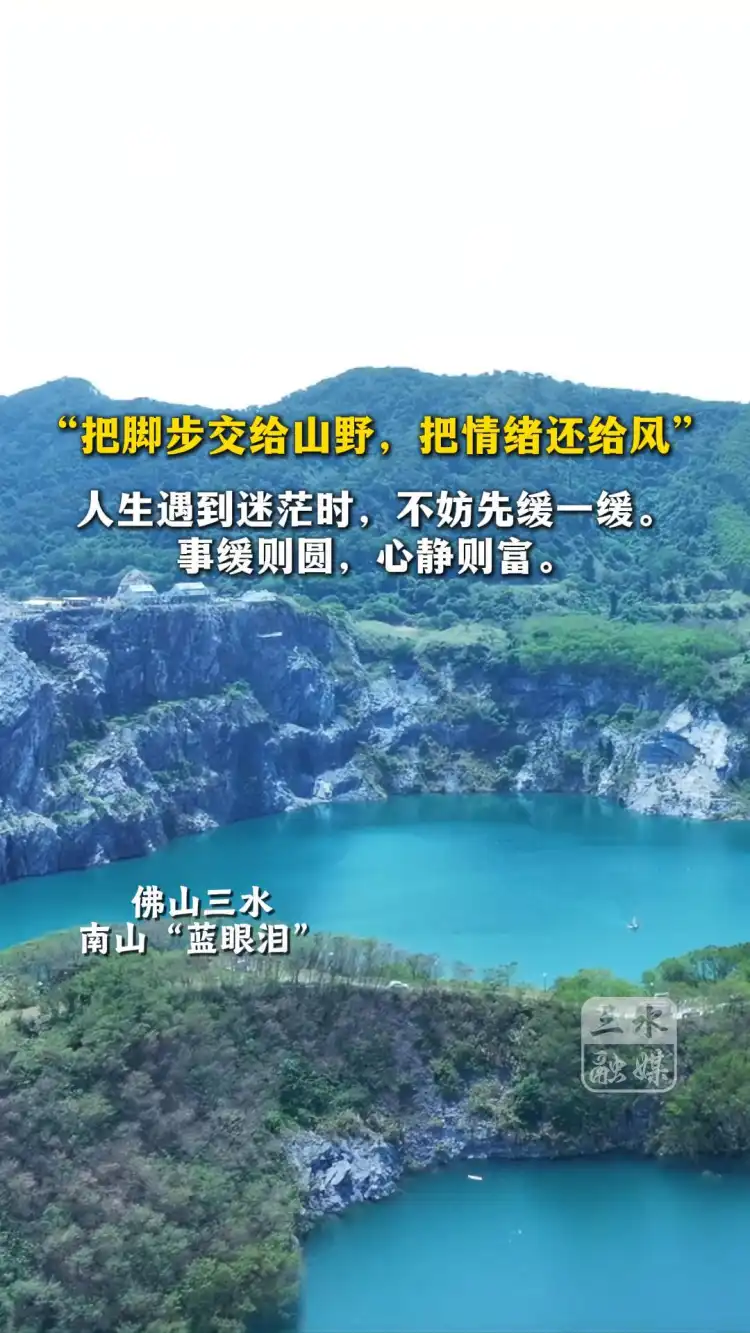 寻美三水治愈时光—南山蓝眼泪