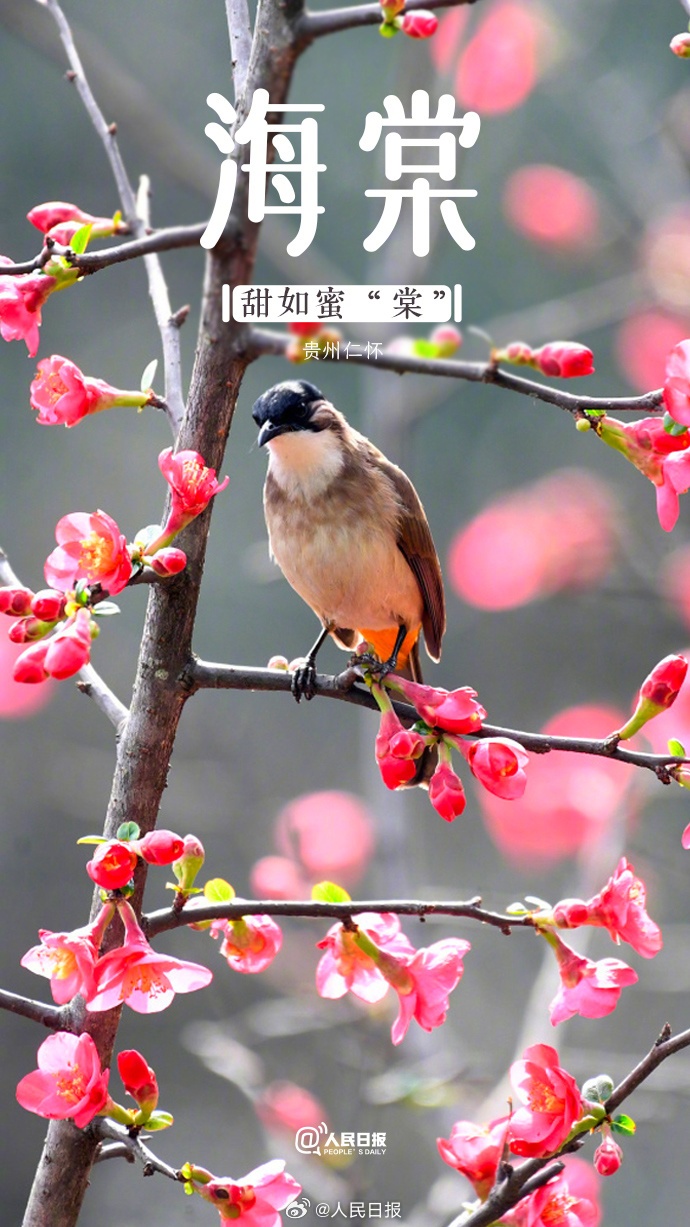 9401412e164f03be7150b2b42743e82.png?x-oss-process=style/w10