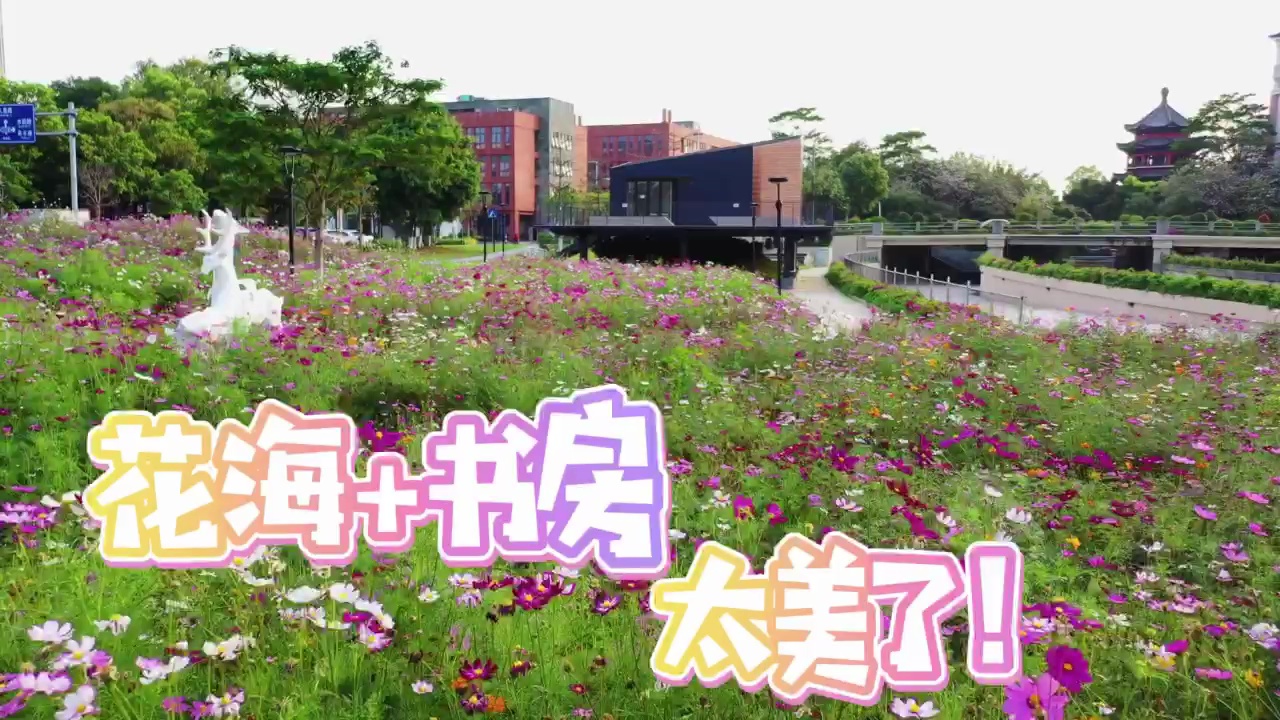 视频/佛山日报记者张弘弢制作