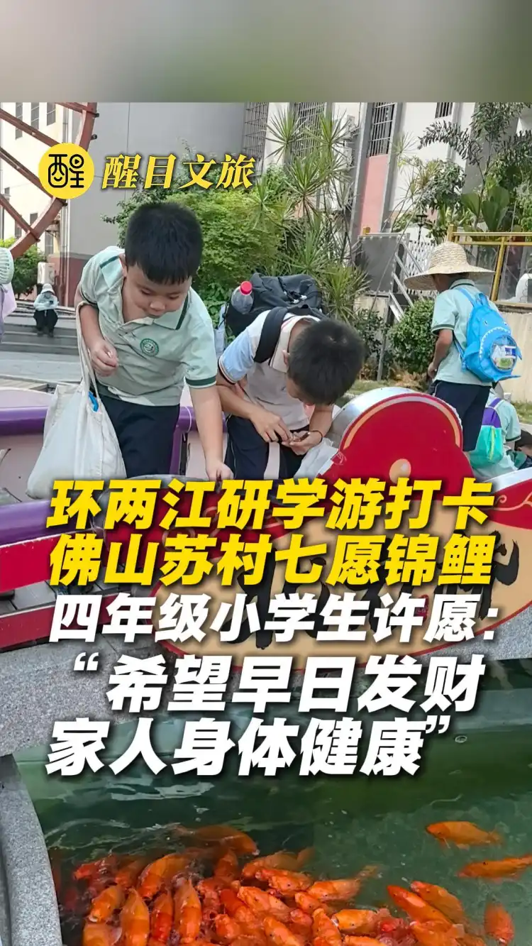 小学生打卡高明苏村七愿锦鲤