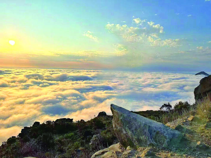 大南山风光秀丽,日出云海。 大南山风光秀丽,日出云海。