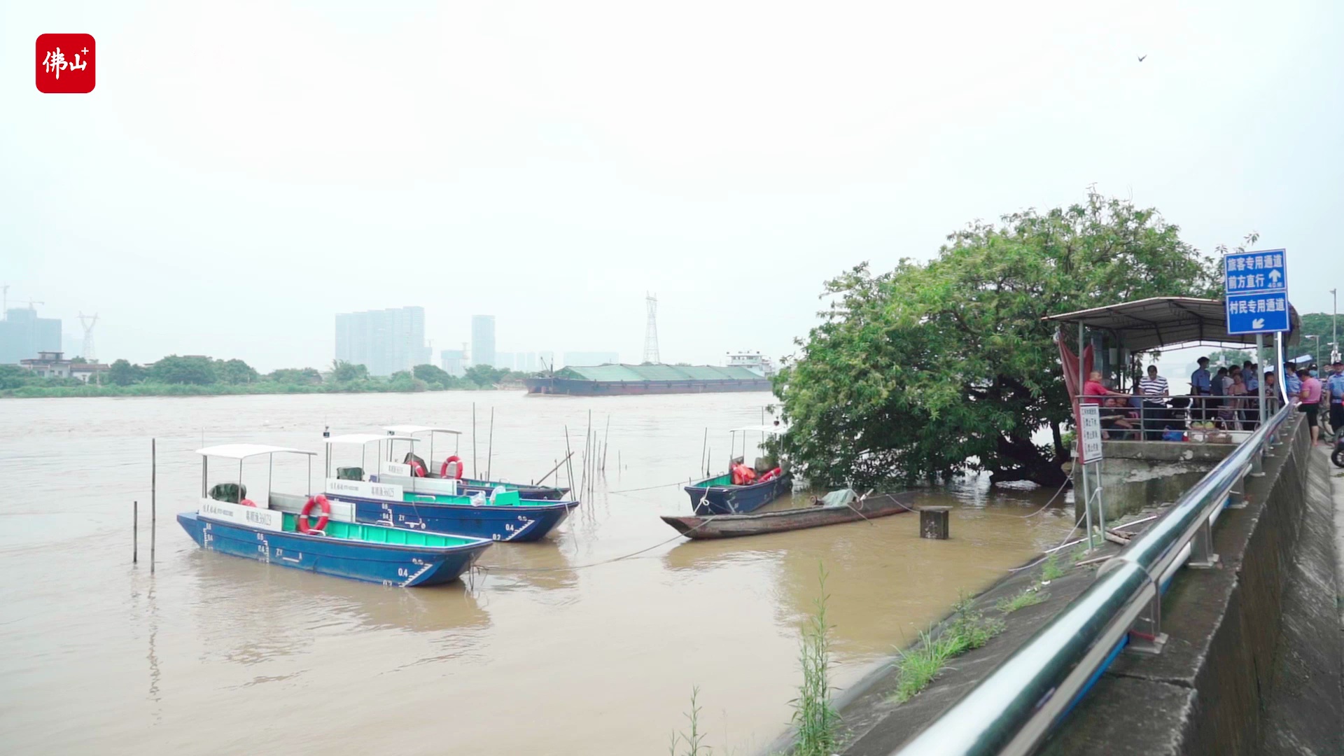 视频｜受西、北江上游来水共同影响，顺德江河水位上涨