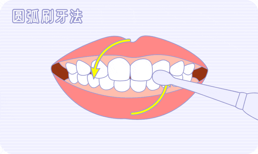 圆弧刷牙法.gif