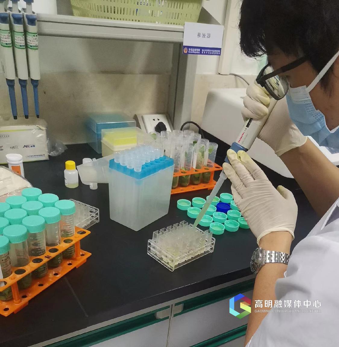 检测人员正在检测室检测蔬菜农残情况。.jpg