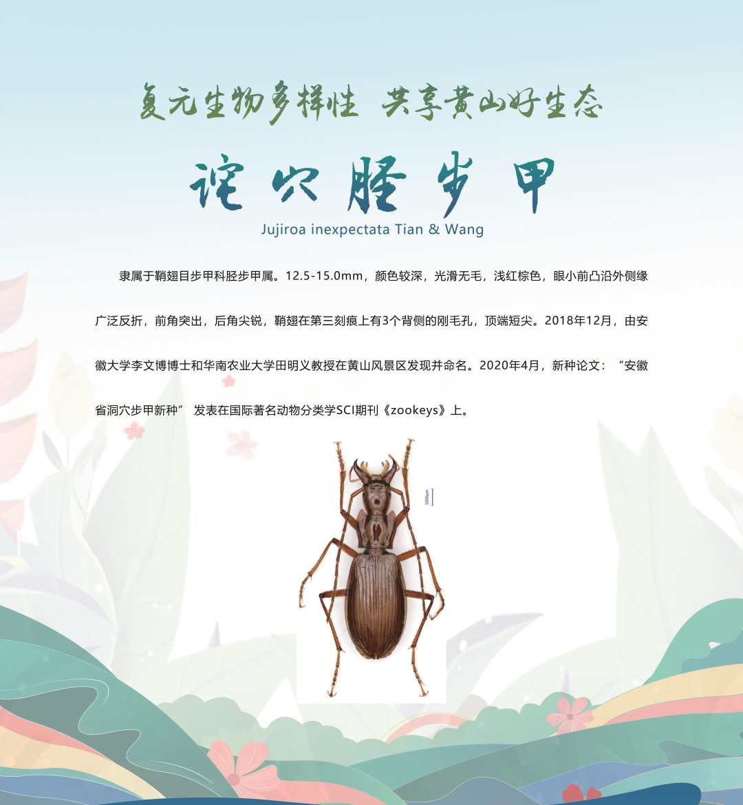 微信图片_20230520185639.jpg?x-oss-process=style/w10