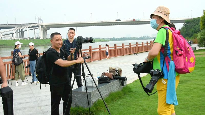 学员们正在实践拍摄中。图/实习生 黄余雄 佛山日报记者周春摄