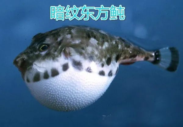 6a63f6246b600c33ee2f3cfc134c510fd9f9a1b4_meitu_8.jpg 图片