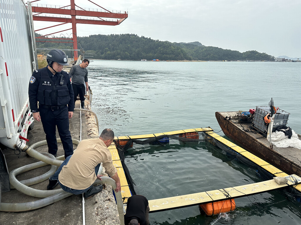 惠州出入境边防检查站在为国家一级重点保护野生动物黄唇鱼鱼苗的出海养殖提供高效保障。