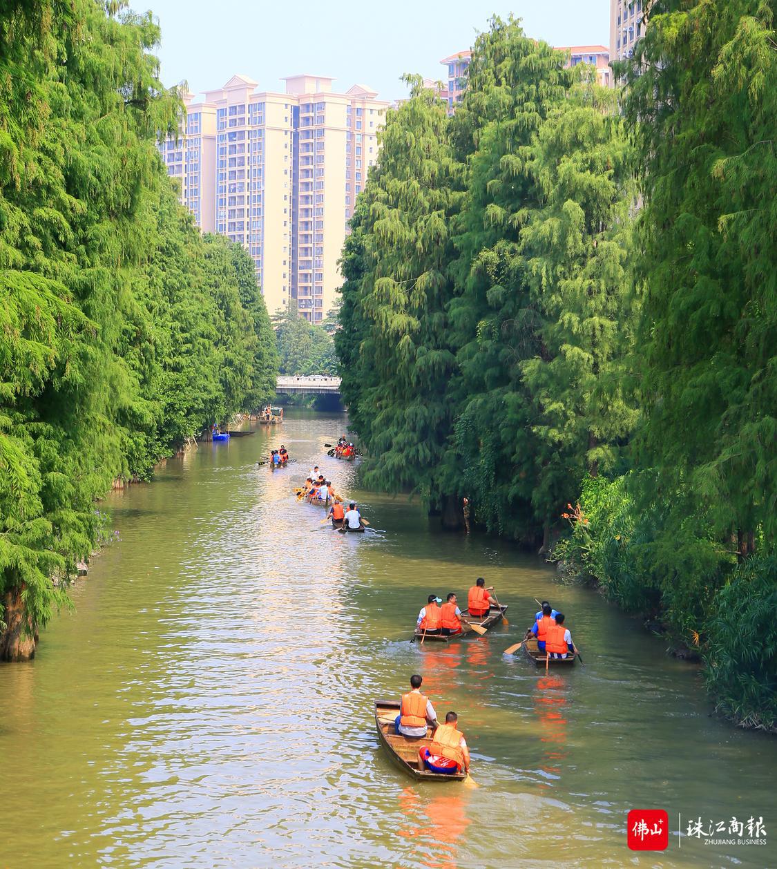 “百舸争流”看均安参与者扒草艇巡游华安涌(3120582)-20220917183600.JPG
