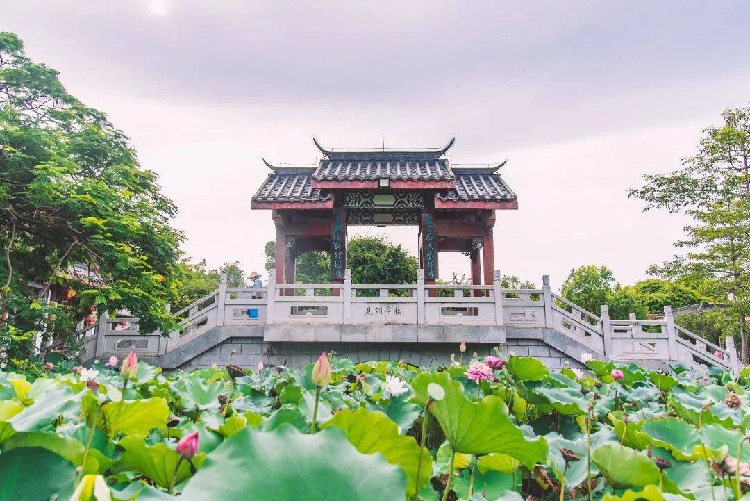 9.jpg 图片