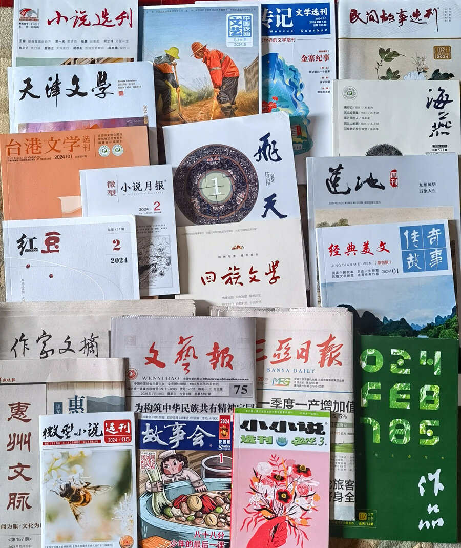 发表入选的部分报刊。