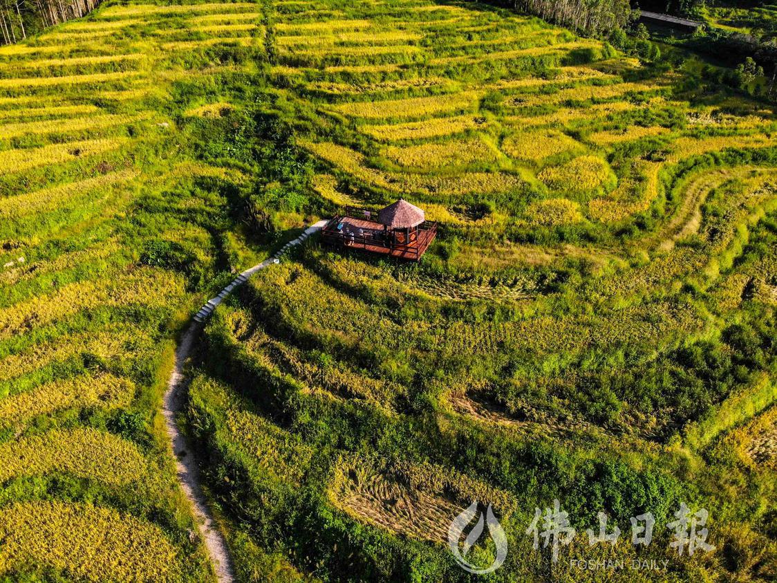 皂幕山风景区内的坑美梯田景点。佛山日报记(3848347)-20221226210405.jpg