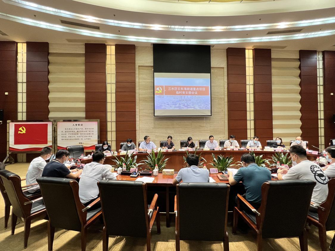 云东海街道召开重点项目临时党支部会议,收集各项目需解决问题。云东海街道供图.jpg